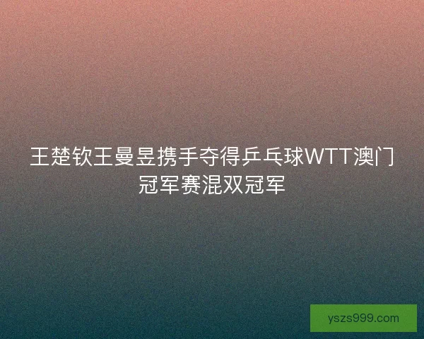 王楚钦王曼昱携手夺得乒乓球WTT澳门冠军赛混双冠军