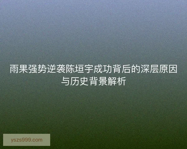 雨果强势逆袭陈垣宇成功背后的深层原因与历史背景解析